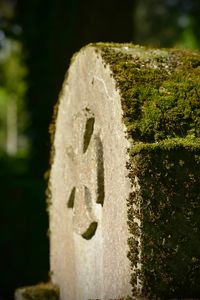 Bonn Poppelsdorf, Friedhof, Meidt Photographie