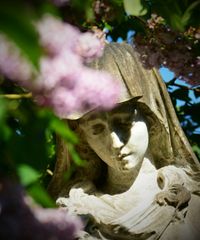 Bonn Poppelsdorf, Friedhof, Meidt Photographie