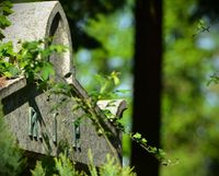 Bonn Poppelsdorf, Friedhof, Meidt Photographie