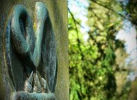 Bonn Poppelsdorf, Friedhof, Meidt Photographie