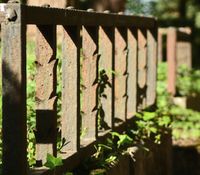 Bonn Poppelsdorf, Friedhof, Meidt Photographie