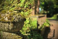 Bonn Poppelsdorf, Friedhof, Meidt Photographie